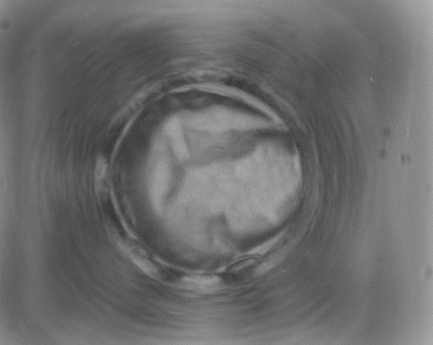 X0000083040480200702231934