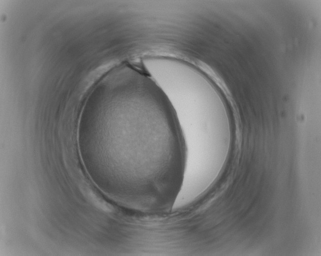 X0000083040481200702231933