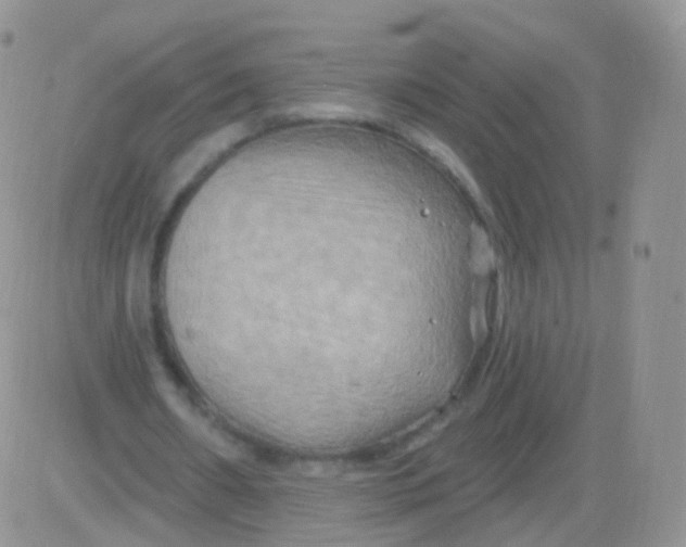 X0000083040482200702231933