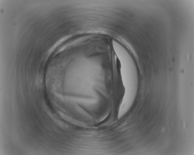 X0000083040483200702231933