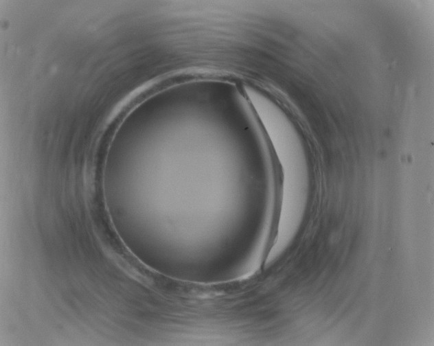 X0000083040484200702231933