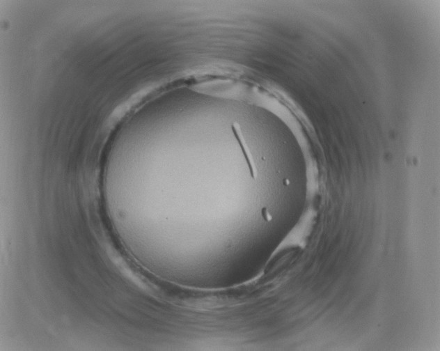 X0000083040485200702231933