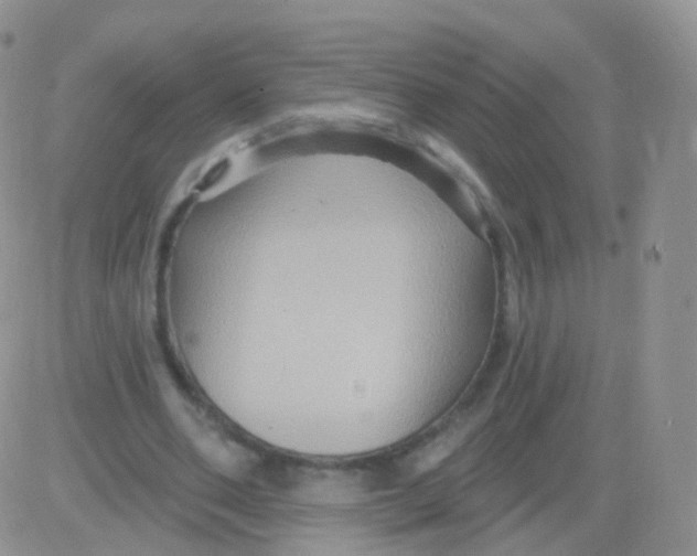 X0000083040486200702231933