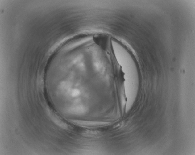 X0000083040487200702231933