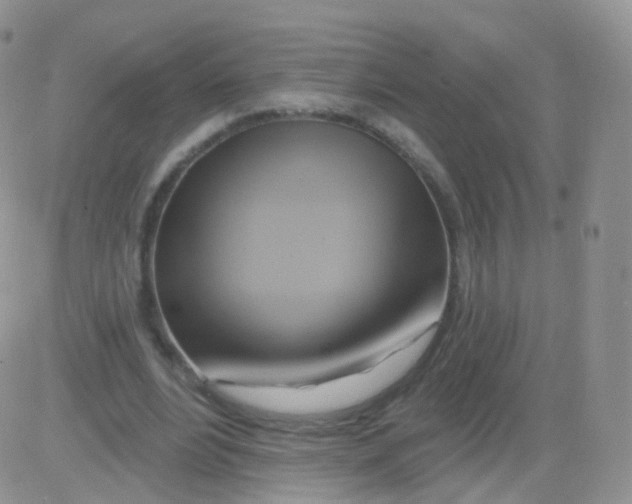 X0000083040488200702231933