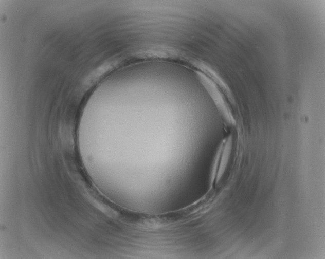 X0000083040489200702231933