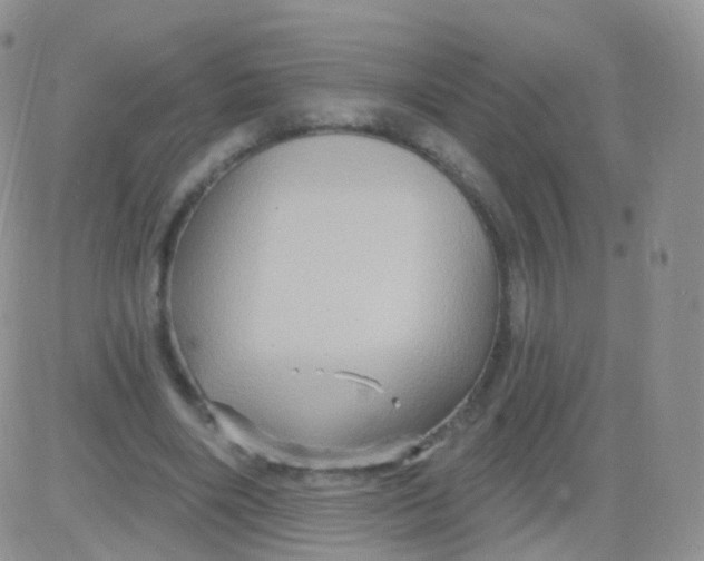 X0000083040490200702231933