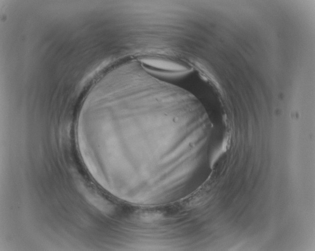 X0000083040491200702231933