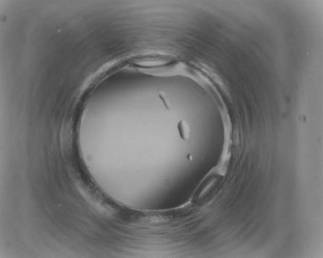 X0000083040492200702231933