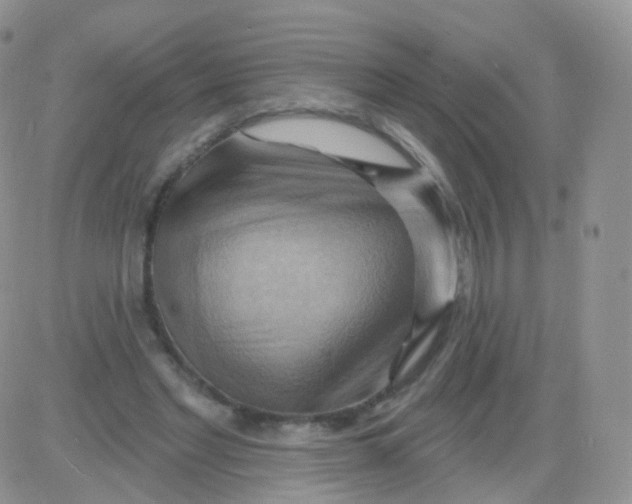 X0000083040493200702231933