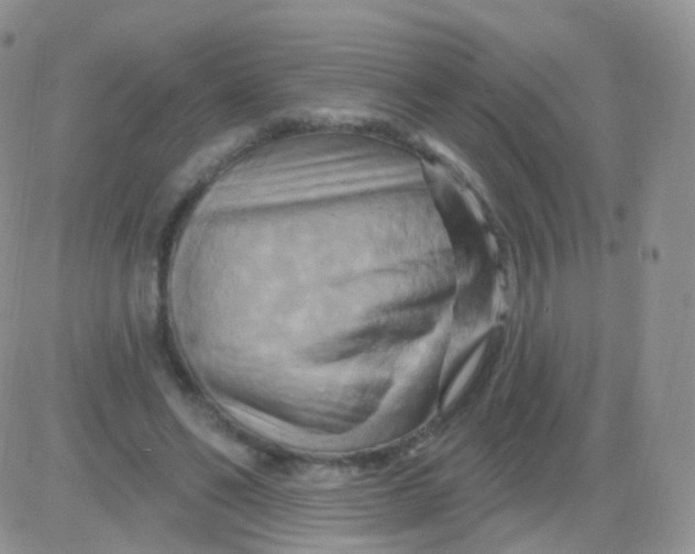 X0000083040494200702231933