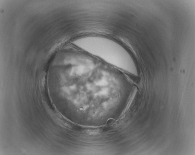 X0000083040495200702231933