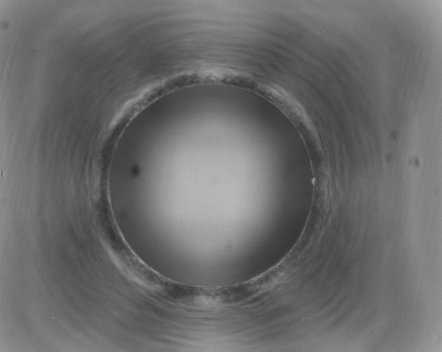 X0000083040496200702231933