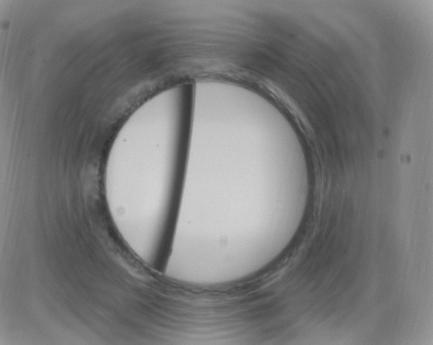 X0000083040497200702231933