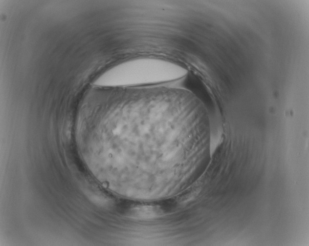 X0000083040499200702231933