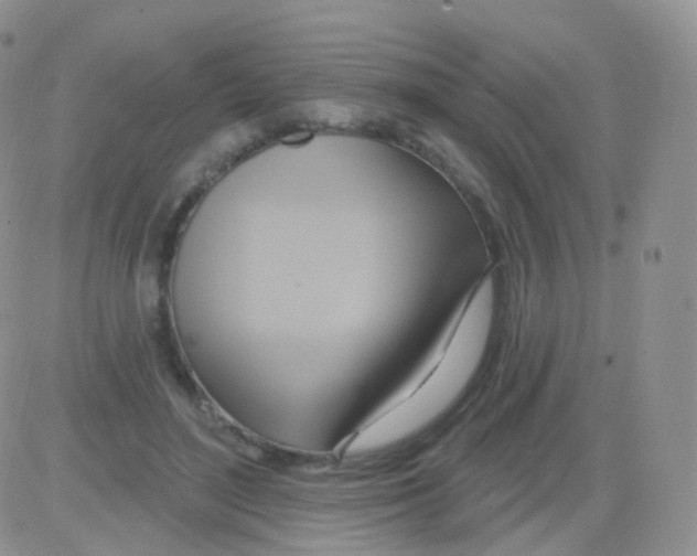 X0000083040500200702231933