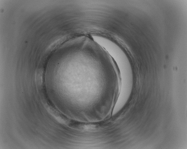 X0000083040501200702231933