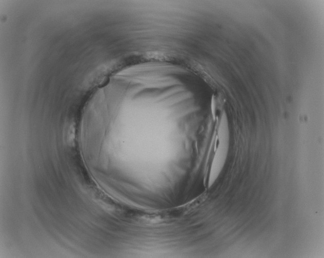 X0000083040502200702231933