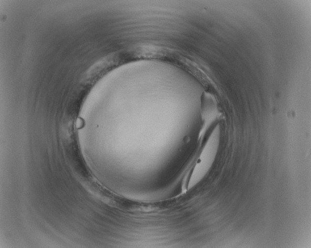 X0000083040503200702231933