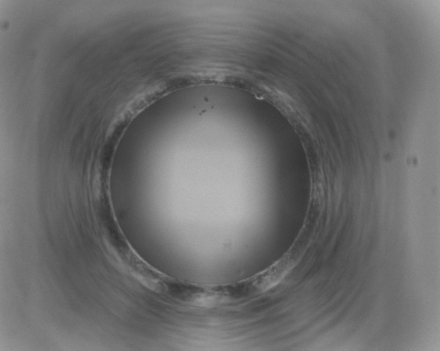 X0000083040504200702231933