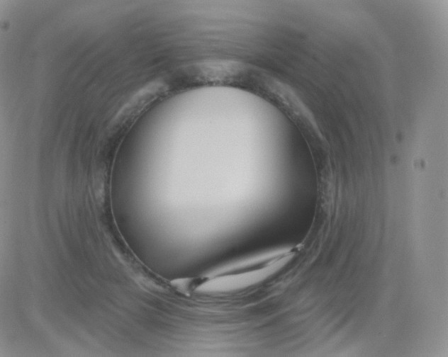 X0000083040505200702231933