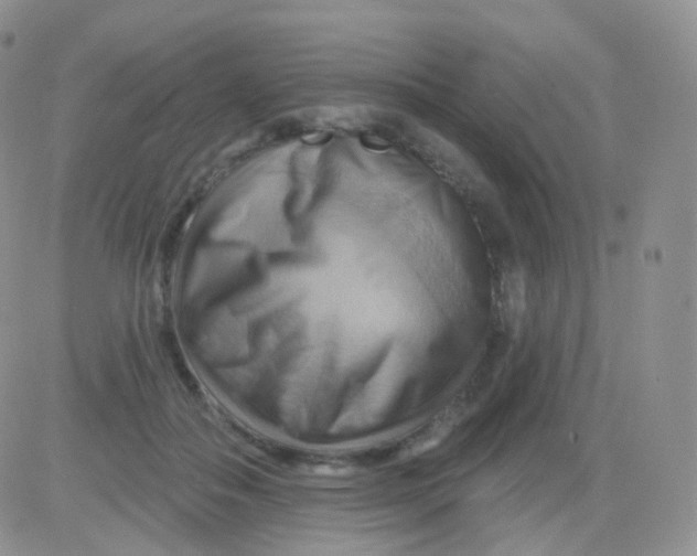 X0000083040506200702231933