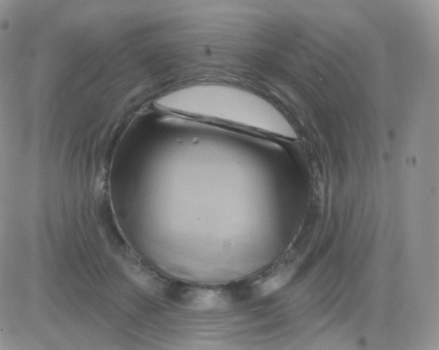 X0000083040507200702231933