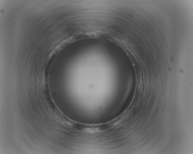 X0000083040508200702231933