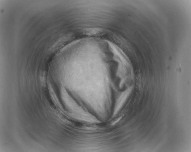 X0000083040510200702231933