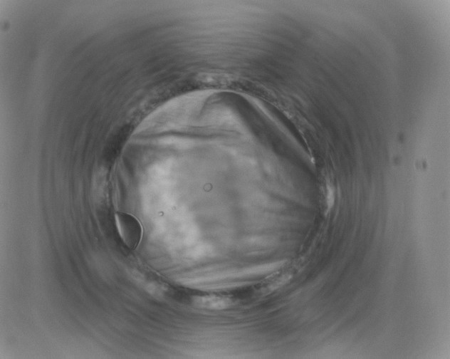 X0000083040511200702231933