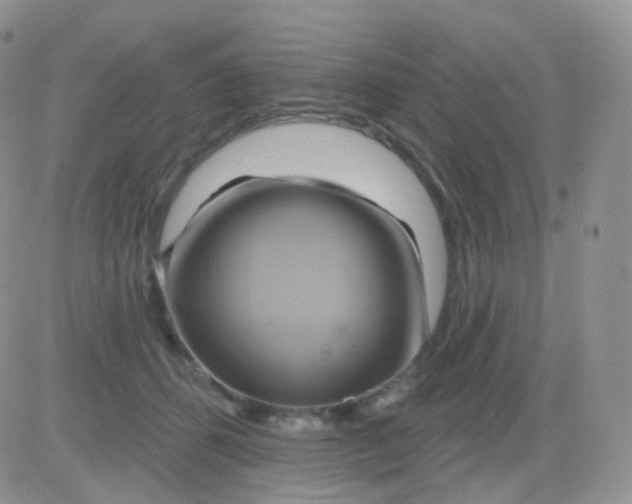 X0000083040512200702231933