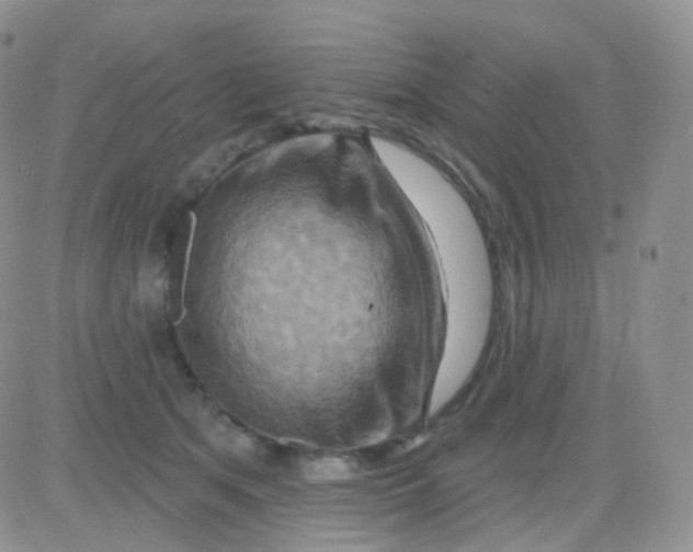 X0000083040513200702231933