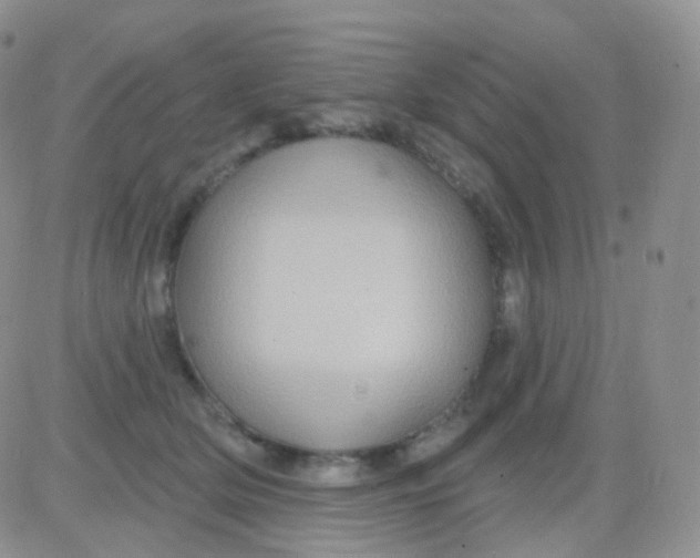 X0000083040514200702231933