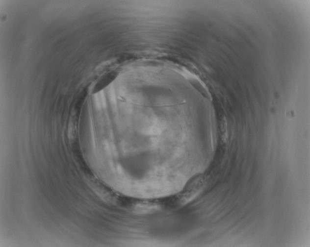 X0000083040515200702231933