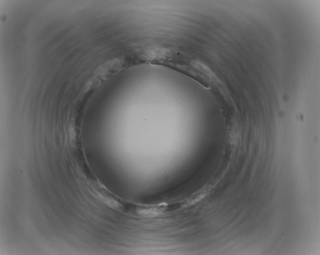 X0000083040516200702231933