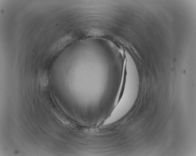 X0000083040517200702231933