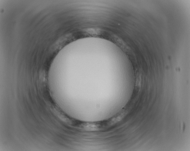 X0000083040518200702231933