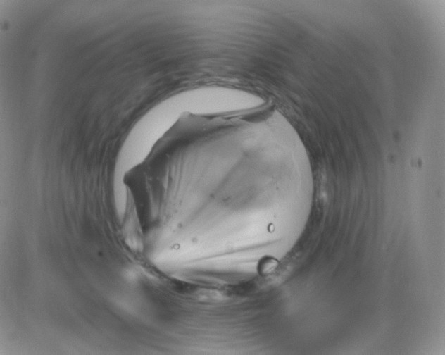 X0000083040519200702231933