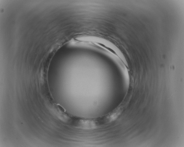 X0000083040520200702231933