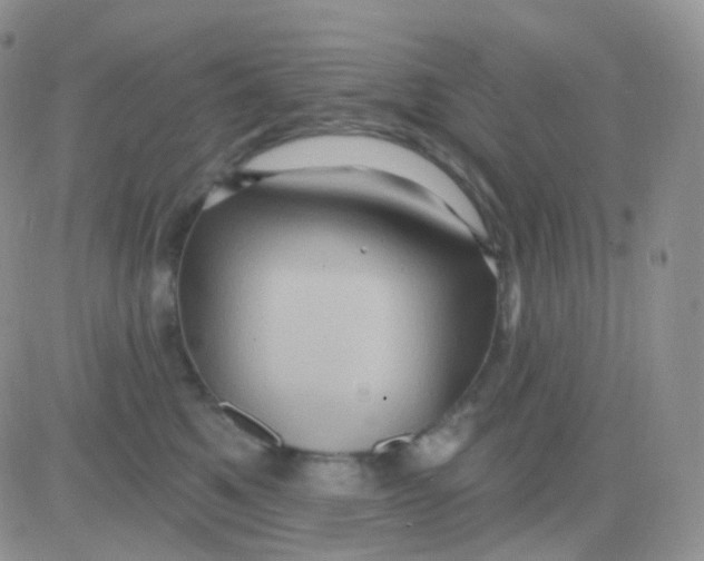 X0000083040521200702231933