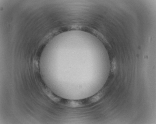 X0000083040522200702231933