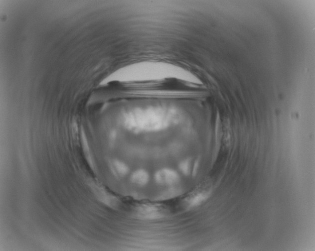 X0000083040523200702231933