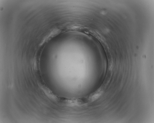 X0000083040524200702231933