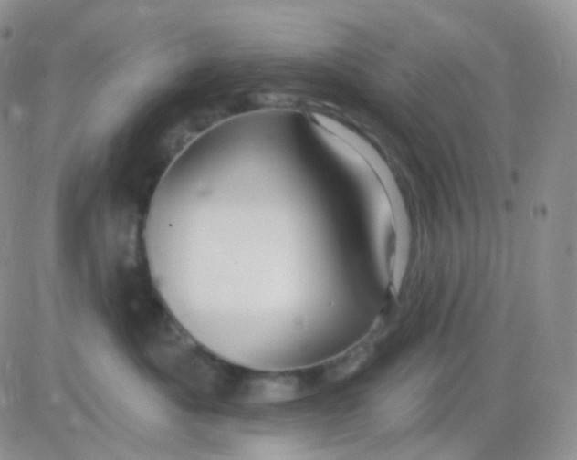 X0000083040525200702231933