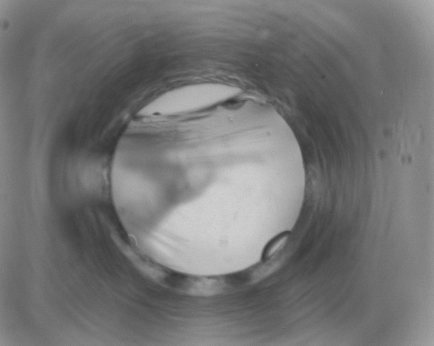 X0000083040527200702231933