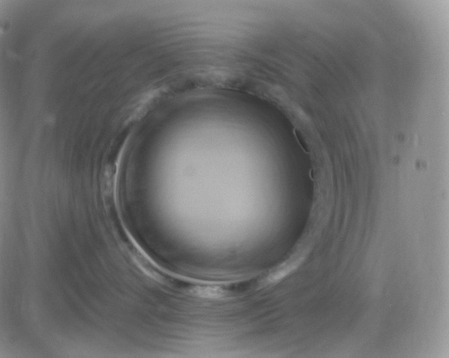 X0000083040528200702231933