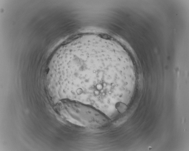 X0000083040529200702231932