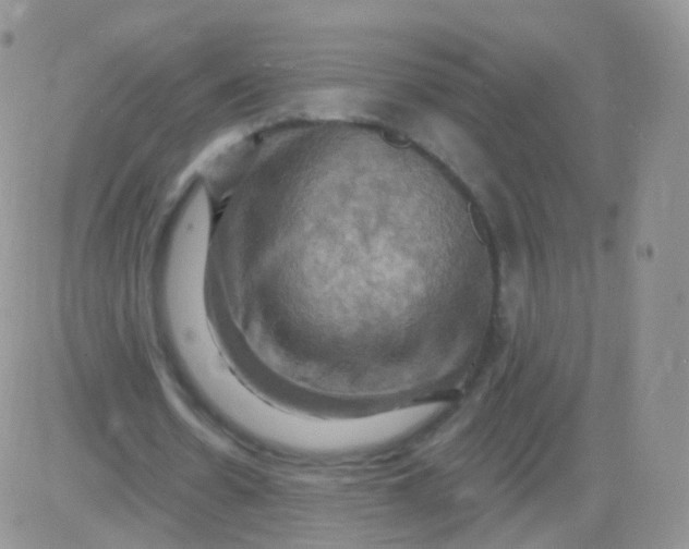 X0000083040530200702231932