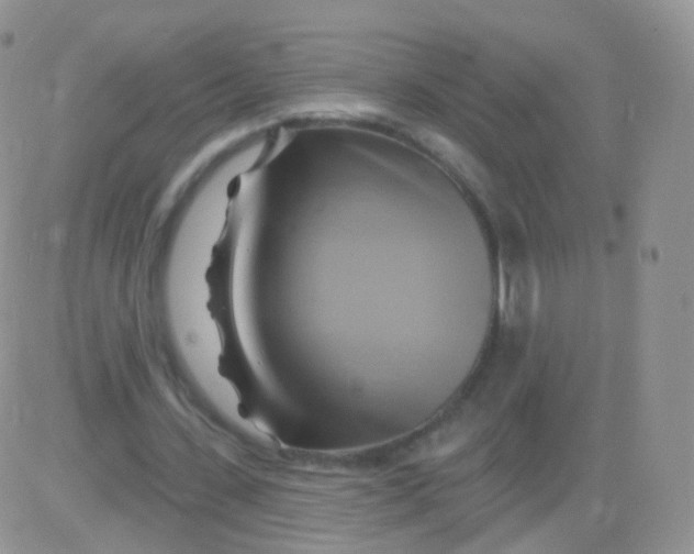 X0000083040531200702231932