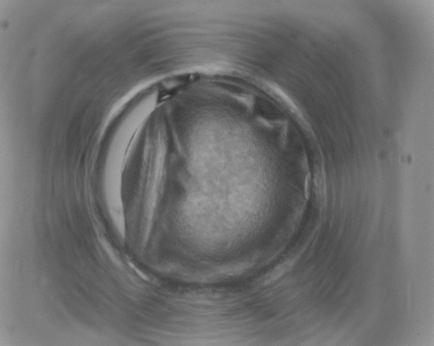 X0000083040532200702231932